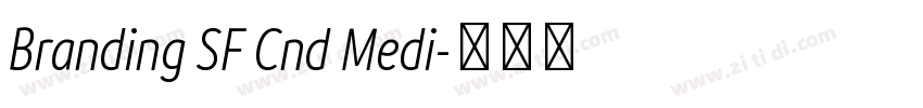 Branding SF Cnd Medi字体转换